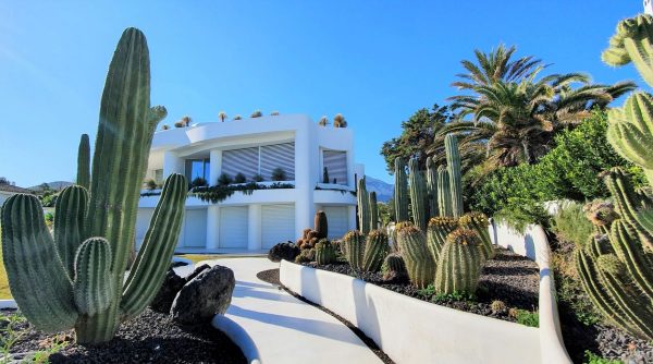 best landscaping in san diego