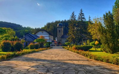 Hardscaping Flagstone vs. Pavers: The Pros and Cons